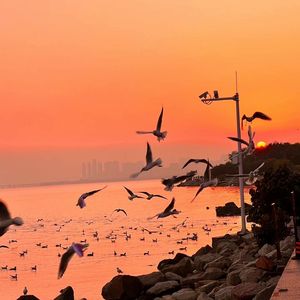 老师脱👙让学生摸🐻站起来做
