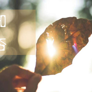 老师脱👙让学生摸🐻站起来做
